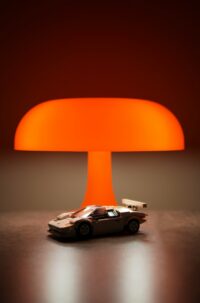 Belle lampe champignon